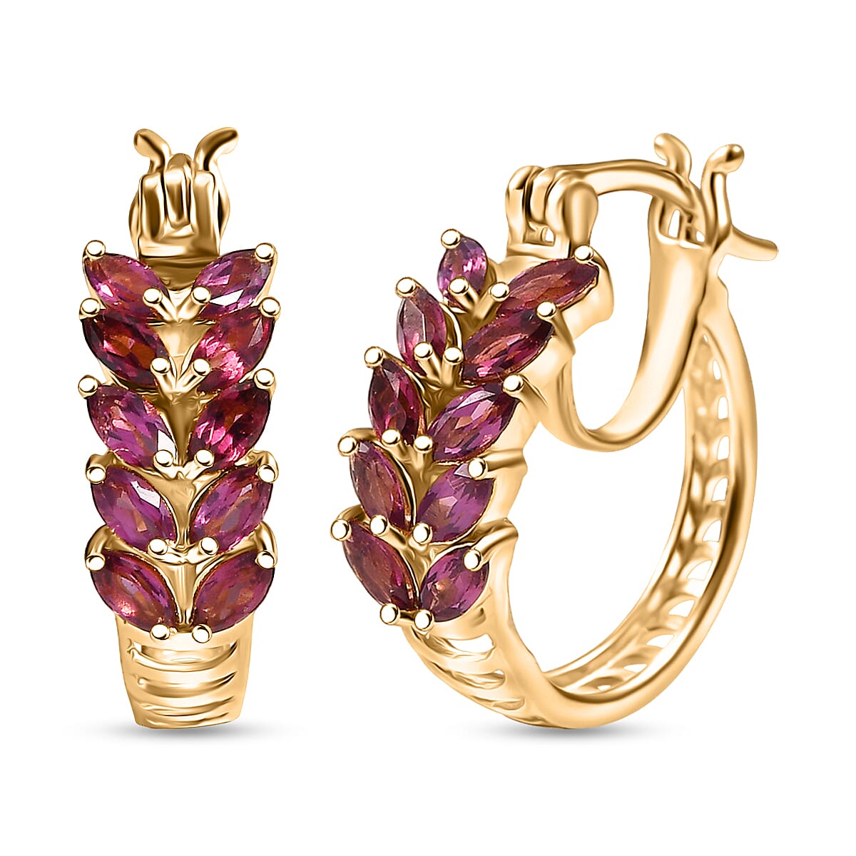 EverTrue Orissa Rhodolite Garnet 2.10 ctw Earrings in 18K YG Plated image number 0