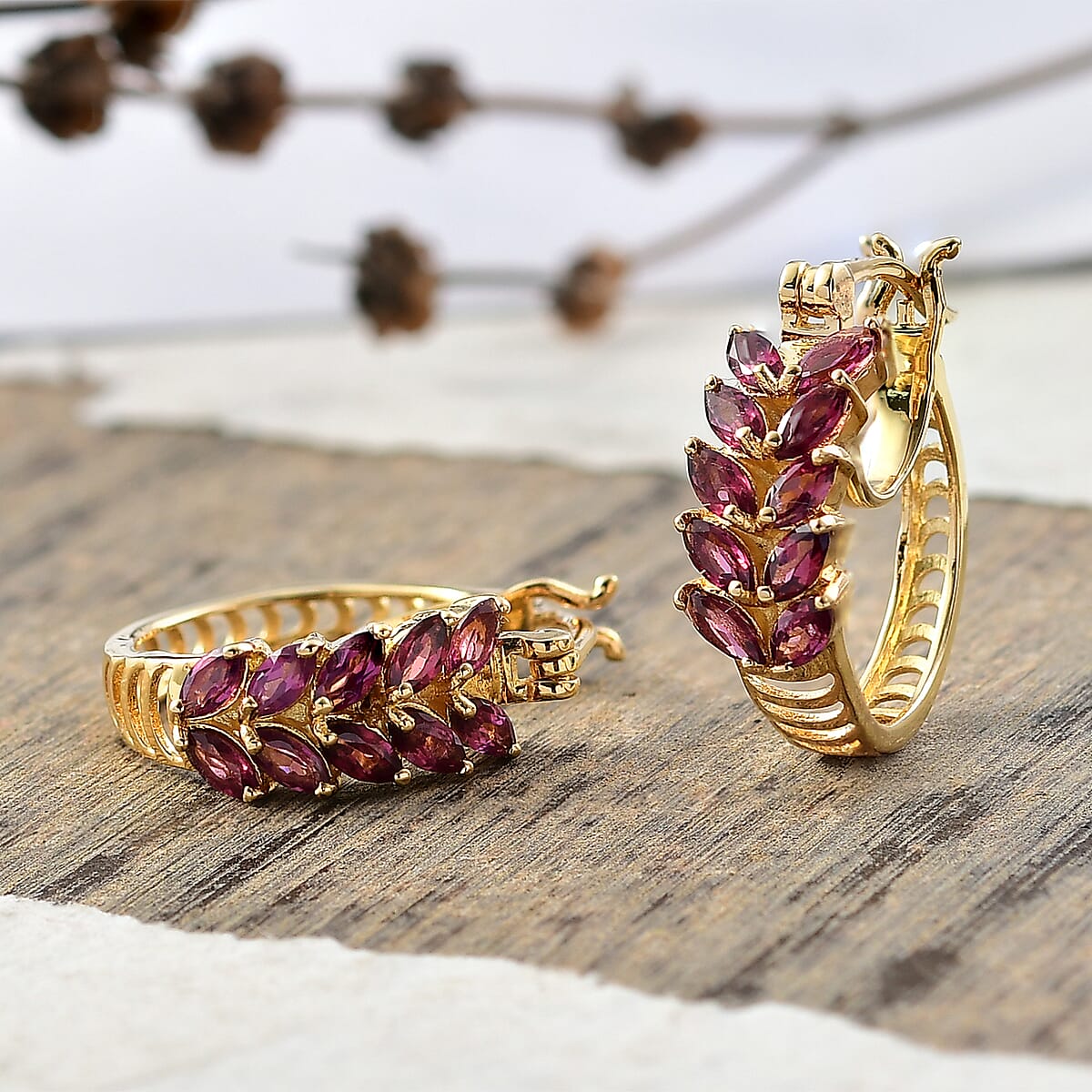 EverTrue Orissa Rhodolite Garnet 2.10 ctw Earrings in 18K YG Plated image number 1