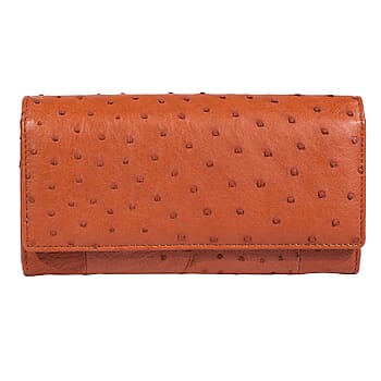 Brown - Product card gallery slide 1 (10178214363449)