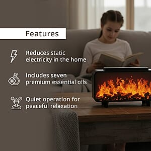 Livmore Fireplace Humidifier with 7 Essential Oil (5V, 2A, 5W)