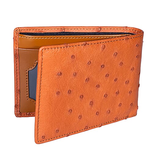 Brick Brown - Product card gallery slide 1 (9433000247551)