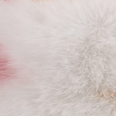 Tamsy Yellow and pink Faux Fur Hat with Bicolor