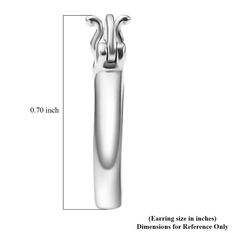 Hoop Earrings in 950 Palladium 1.75 Grams
