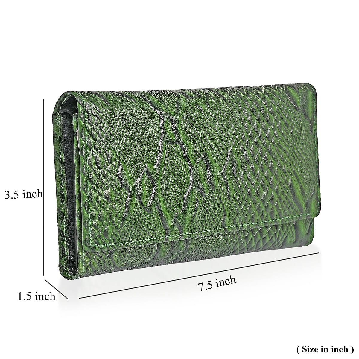 Tamsy Green Python Print Genuine Leather with RFID Wallet image number 9