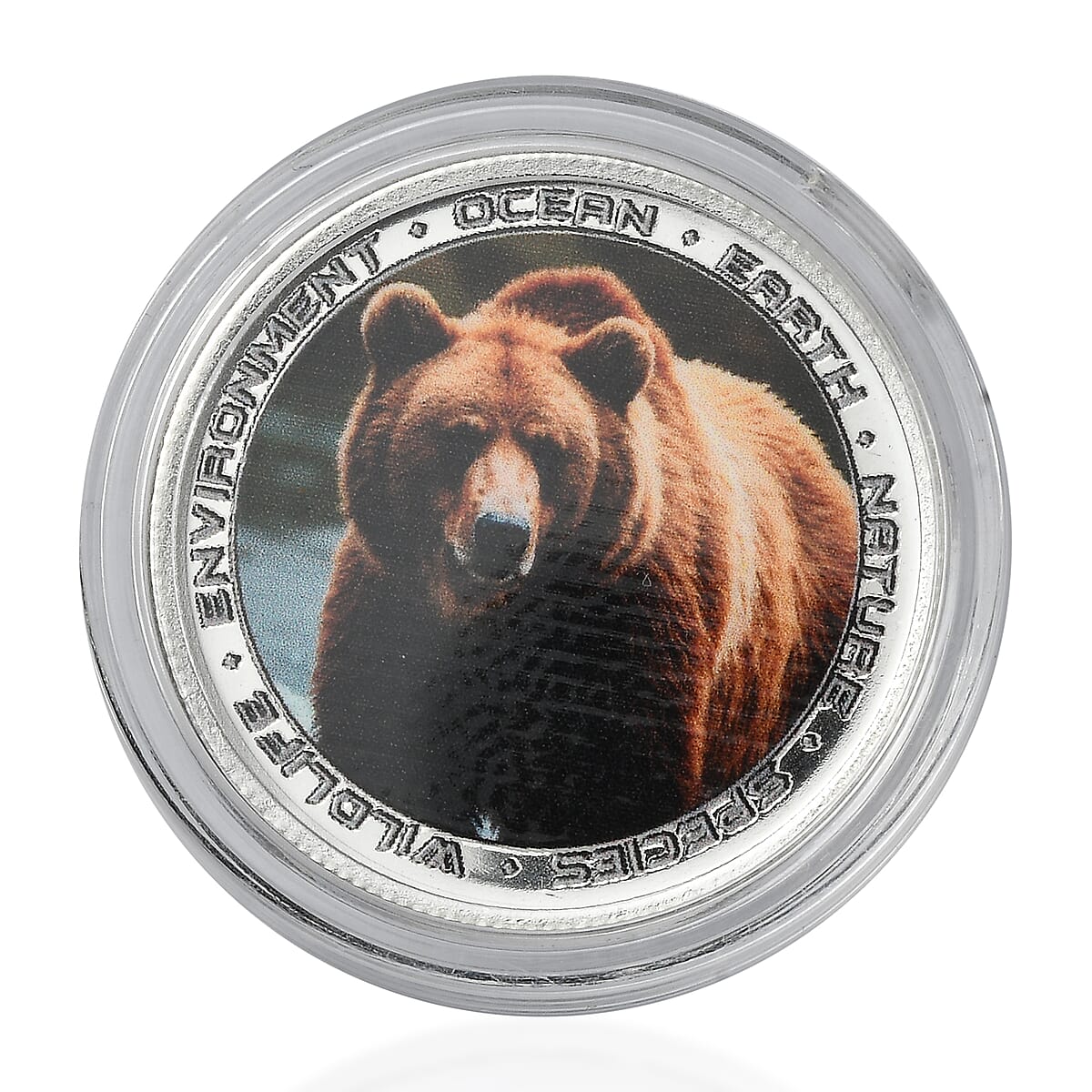 999 Fine Silver Wildlife Brown Bear Coin (10 g) image number 0
