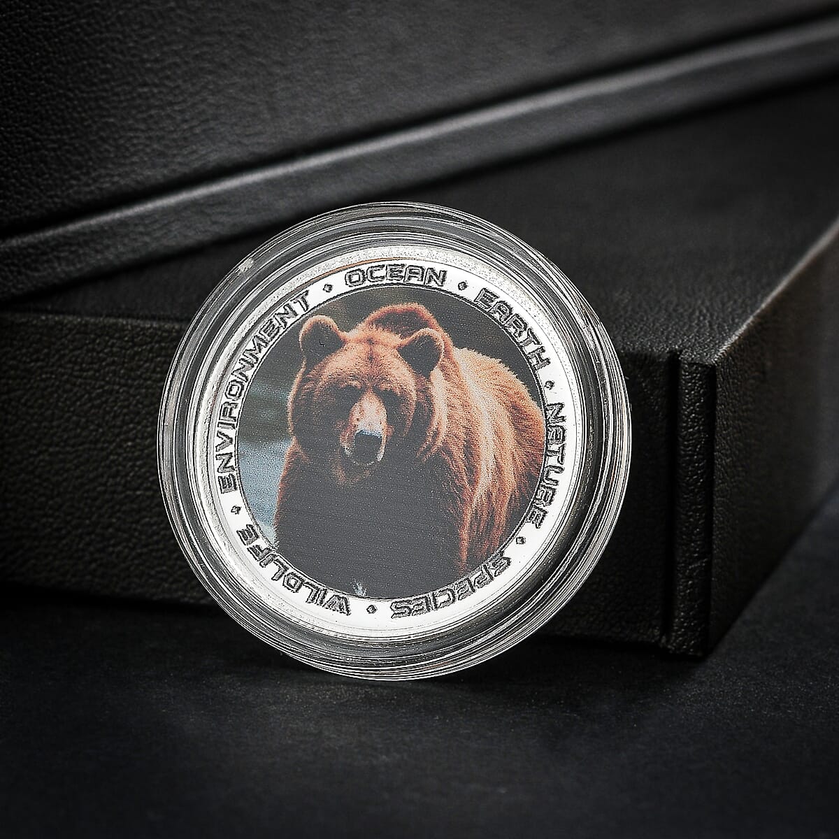 999 Fine Silver Wildlife Brown Bear Coin (10 g) image number 1