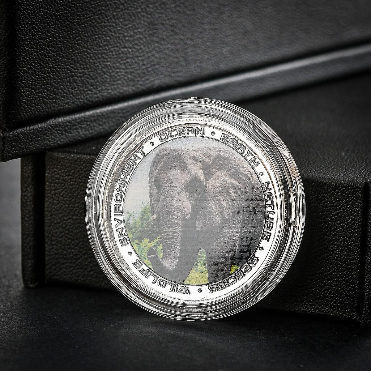 999 Fine Silver Wildlife Elephant Coin (10 g) image number 1