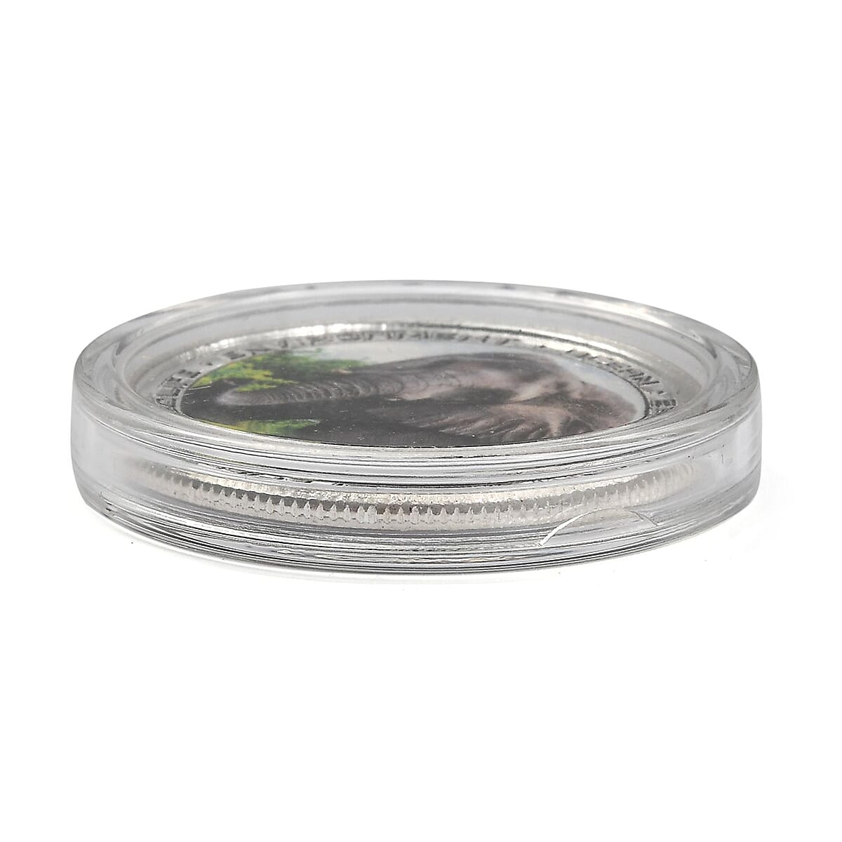 999 Fine Silver Wildlife Elephant Coin (10 g) image number 3