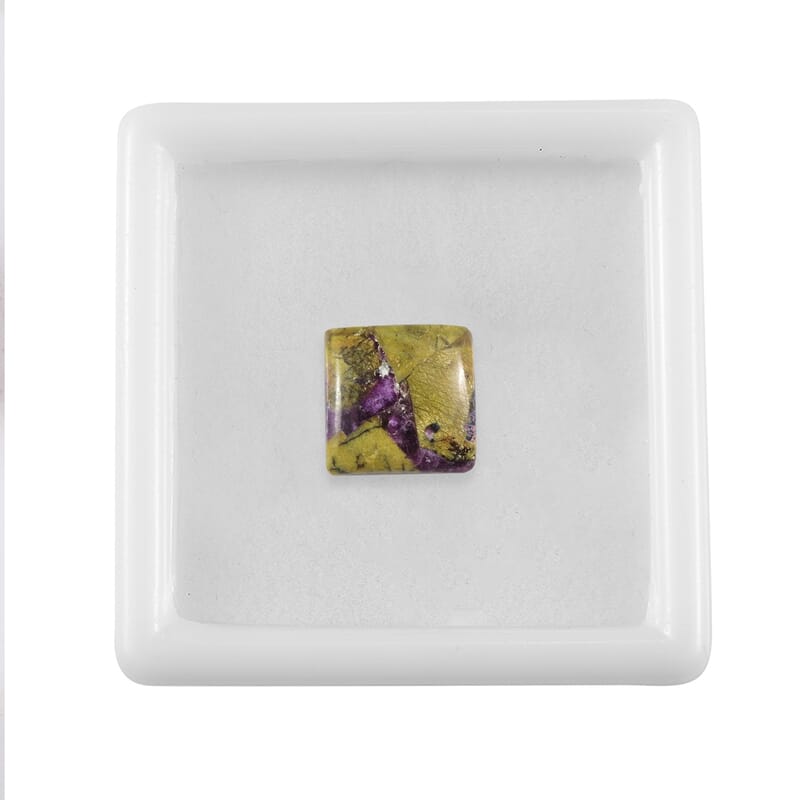 Tasmanian Stichtite (Sqr 10 mm) 2.88 ctw