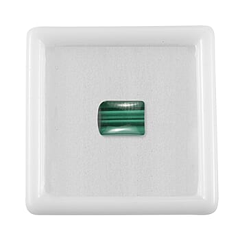 Default Title - Product card gallery slide 3 (10178250146105)
