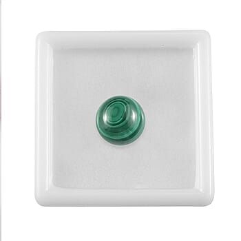 Default Title - Product card gallery slide 3 (10178250506553)