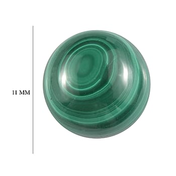 Default Title - Product card gallery slide 4 (10178250506553)