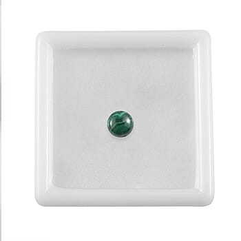 Default Title - Product card gallery slide 3 (10178250441017)