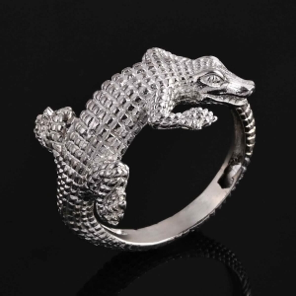 D'Joy Ring in Sterling Silver (Size 9) image number 1
