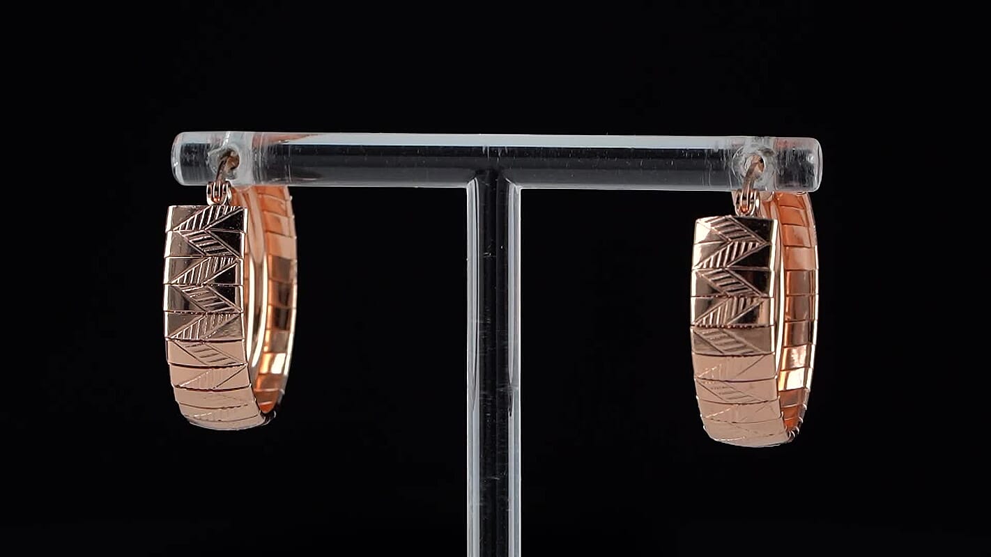 Omega Chain Hoop Earrings in ION Plated RG Stainless Steel