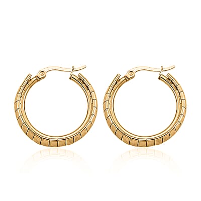 Omega Chain Hoop Earrings in ION Plated YG Stainless Steel