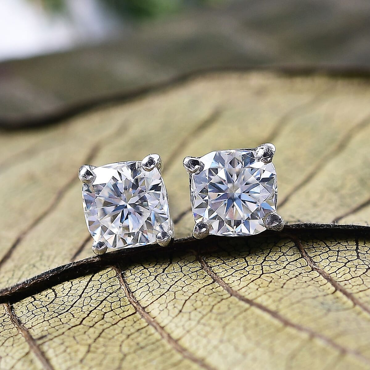 D'Joy Moissanite 2.00 ctw Solitaire Stud Earrings in Platinum Over Sterling Silver image number 1
