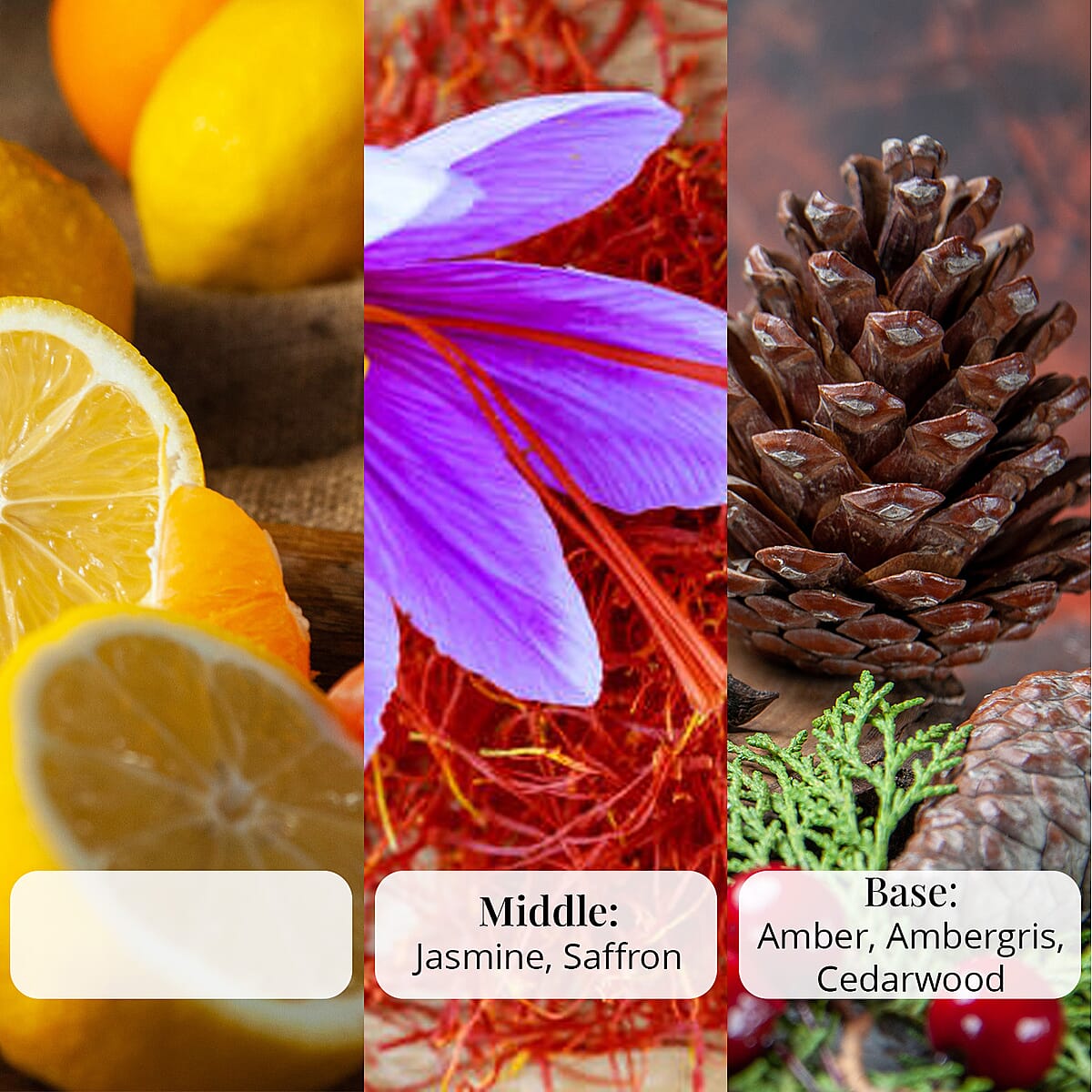 The Lab Direct Inspiration 540 Intense Body Wash 9oz (Ships in 5-7 Business Days) image number 6