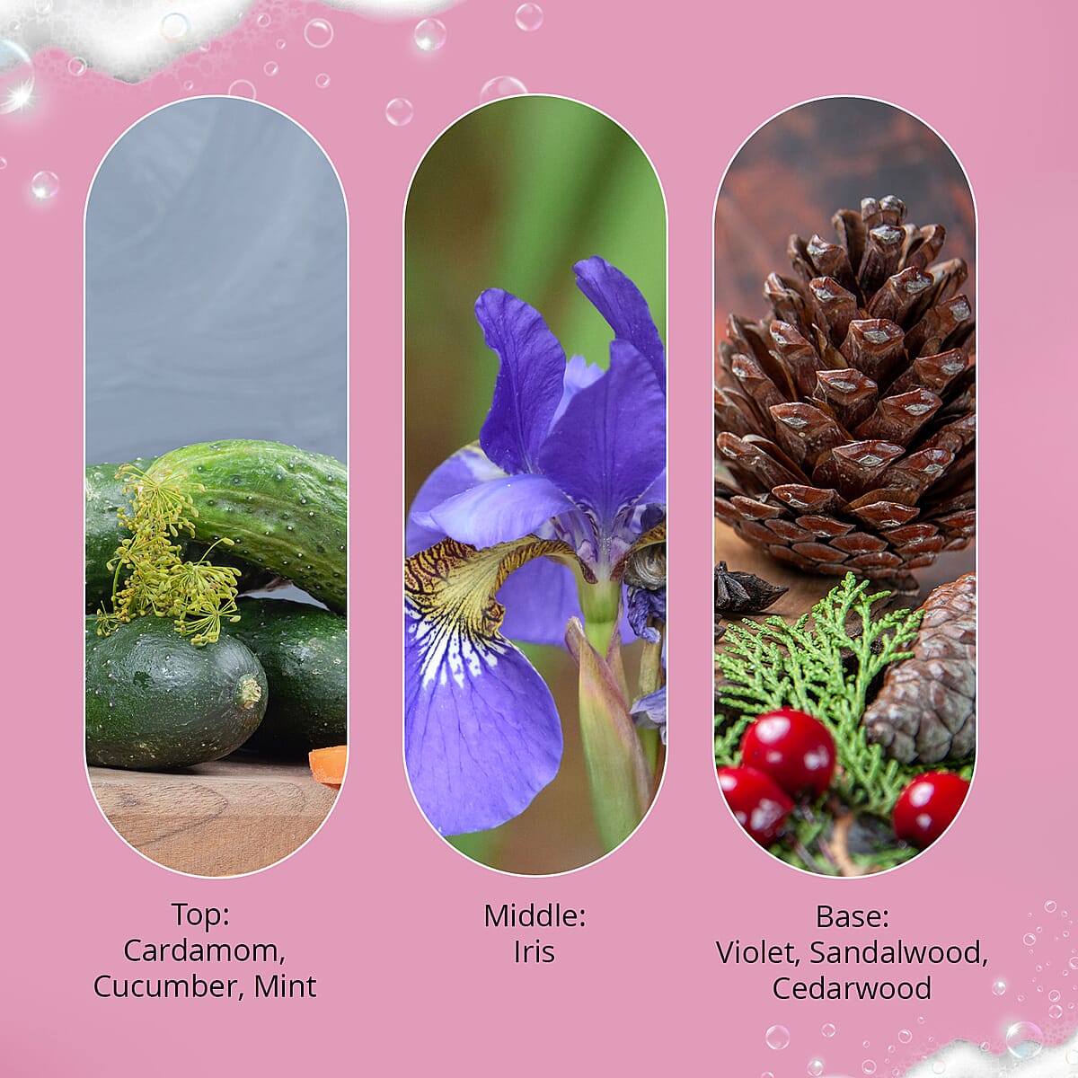 The Lab Direct Inspiration Lovely Santal Body Wash 9oz (Ships in 5-7 Business Days) image number 3