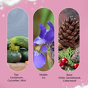 The Lab Direct Inspiration Lovely Santal Body Wash 9oz (Ships in 5-7 Business Days)