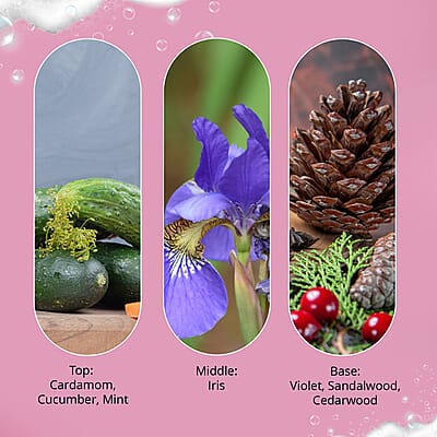 Default Title - Product card gallery slide 4 (10178269282617)