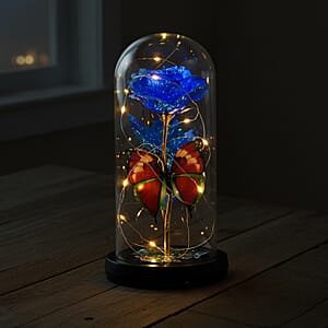 Closeout Blue Rose & Butterlfly in Glass Dome with LED Lights