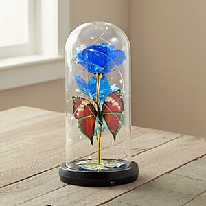Closeout Blue Rose & Butterlfly in Glass Dome with LED Lights
