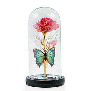 Closeout Red Rose & Butterlfly in Glass Dome with LED Lights