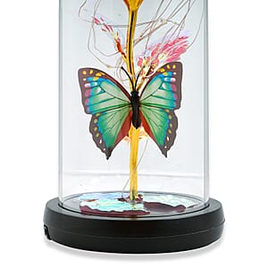 Closeout Red Rose & Butterlfly in Glass Dome with LED Lights
