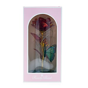 Closeout Red Rose & Butterlfly in Glass Dome with LED Lights