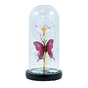 Closeout White Rose & Butterlfly in Glass Dome with LED Lights