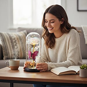 Closeout White Rose & Butterlfly in Glass Dome with LED Lights