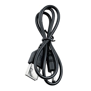 Closeout White Rose & Butterlfly in Glass Dome with LED Lights