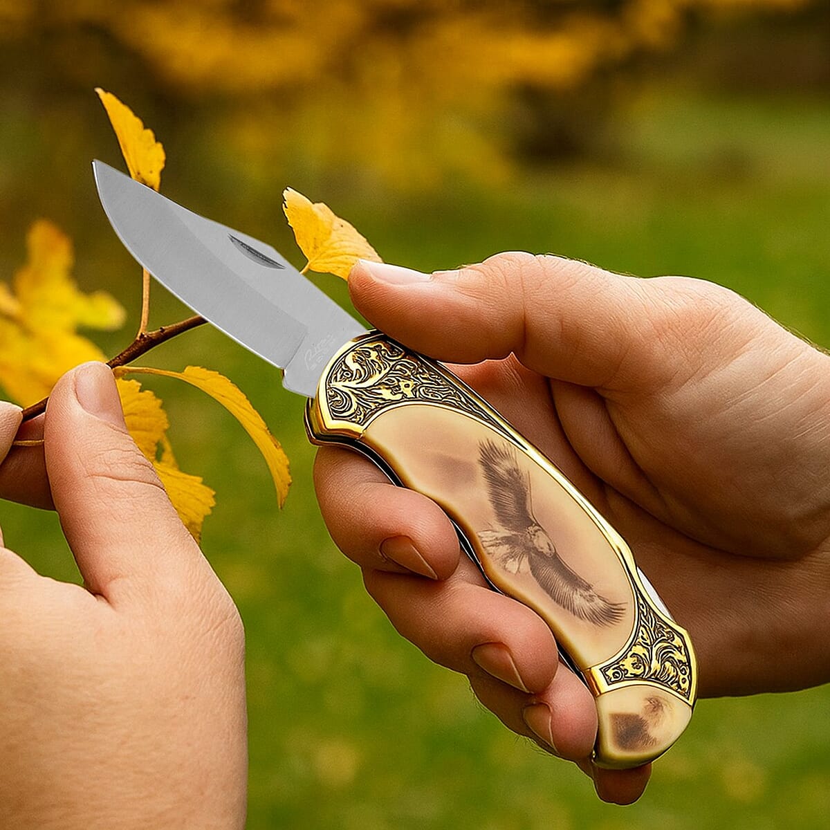 Closeout 4.75 Eagle Folding Knife with Gift Box image number 2