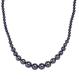 Peacock Color Shell Pearl Necklace in Silvertone 20-22 Inches