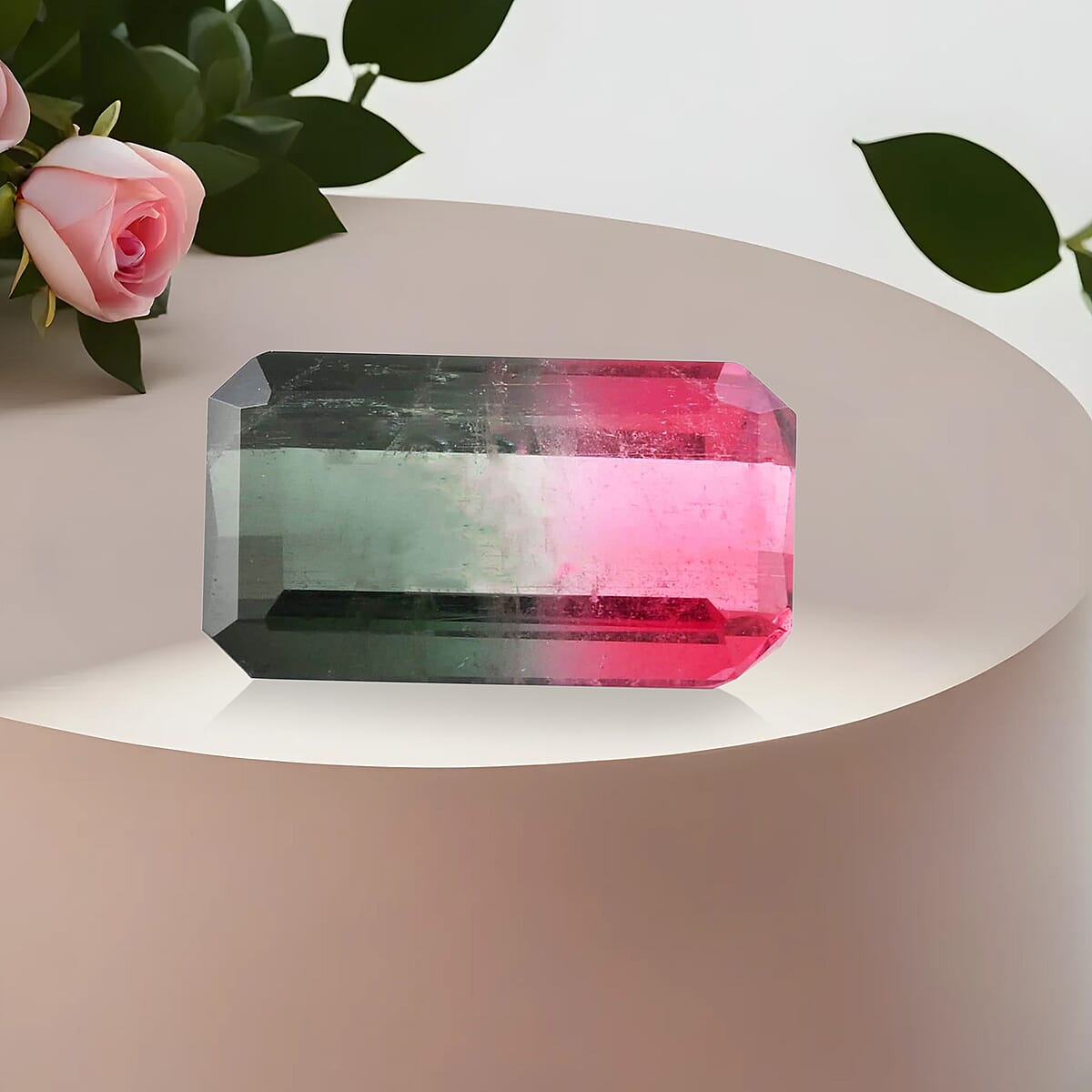 AAAA Bi-Color Tourmaline (Oct Free Size) 3.00 ctw image number 1