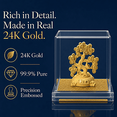 Money Tree - Product card gallery slide 2 (10247349764409)