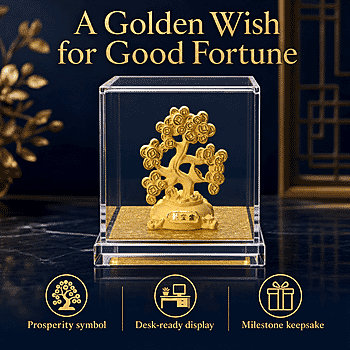 Money Tree - Product card gallery slide 3 (10247349764409)