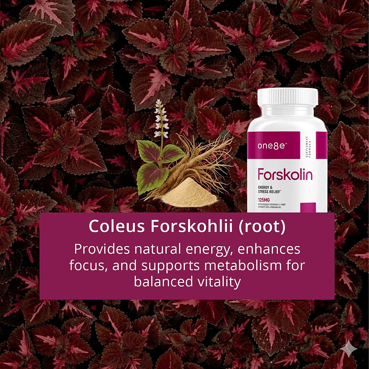 One8e Forsolin Energy & Stress Relief Supplement (60 Capsules) Made in US image number 4