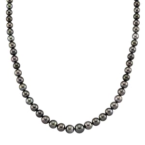 Luxoro Tahitian Pearl Necklace in 10K Yellow Gold 18-20 Inches (Del. in 18-20 Days)