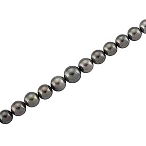 Luxoro Tahitian Pearl Necklace in 10K Yellow Gold 18-20 Inches (Del. in 18-20 Days)