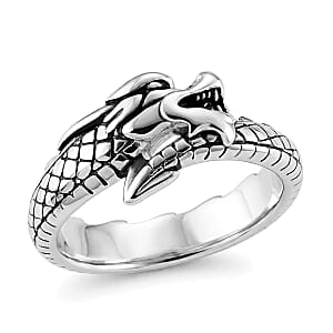 Dragon Ring in Stainless Steel (Size 10.0)