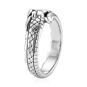 Dragon Ring in Stainless Steel (Size 10.0)