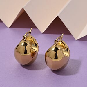 Hoop Earrings in ION Plated YG Stainless Steel