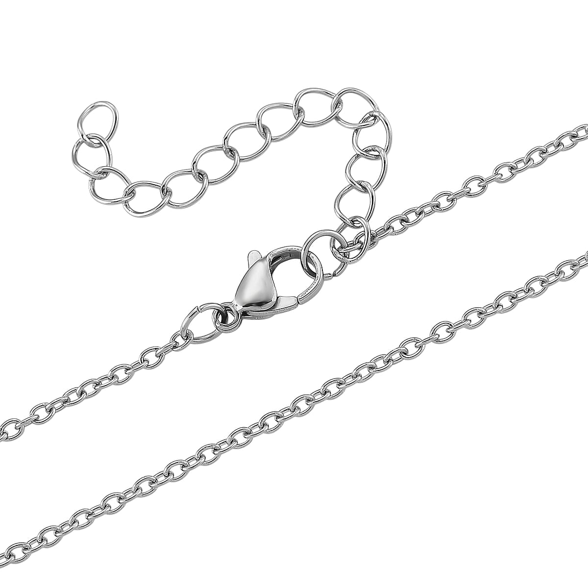 Simulated Diamond Lion Head Dogtag Pendant Necklace (20-22 Inches) in Stainless Steel image number 5