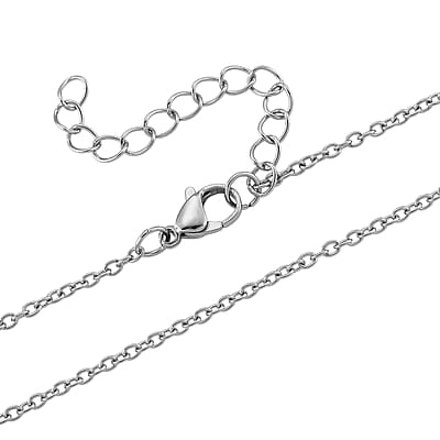 Simulated Diamond Lion Head Dogtag Pendant Necklace (20-22 Inches) in Stainless Steel