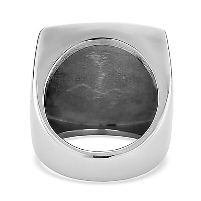 Simulated Diamond and Enameled Lion Ring in Stainless Steel (Size 8.0)