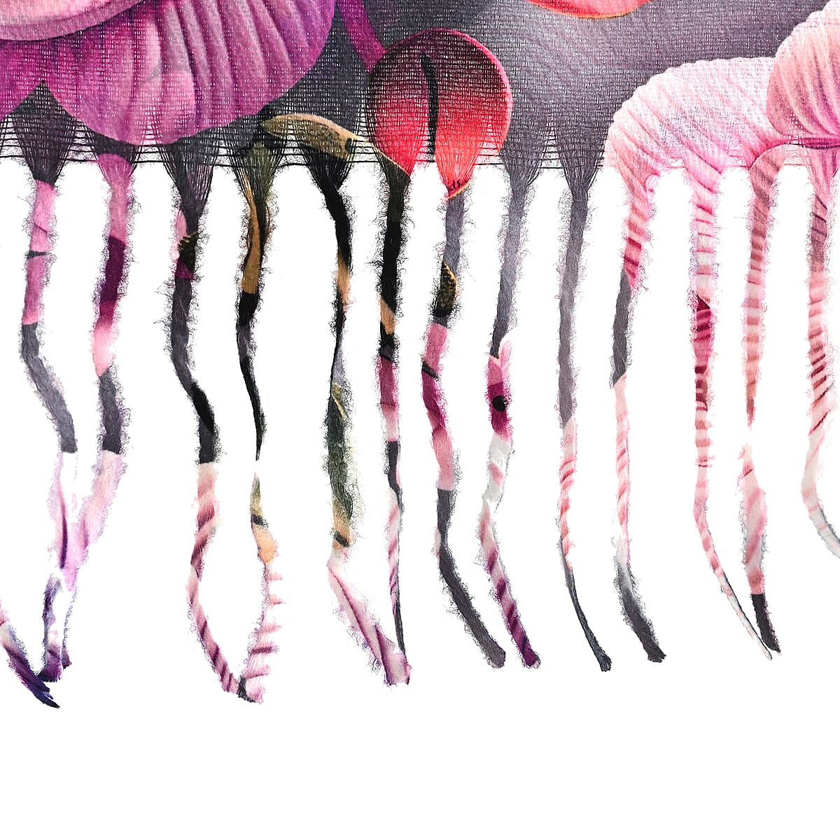 La Marey Magenta Floral Printed Scarf image number 4