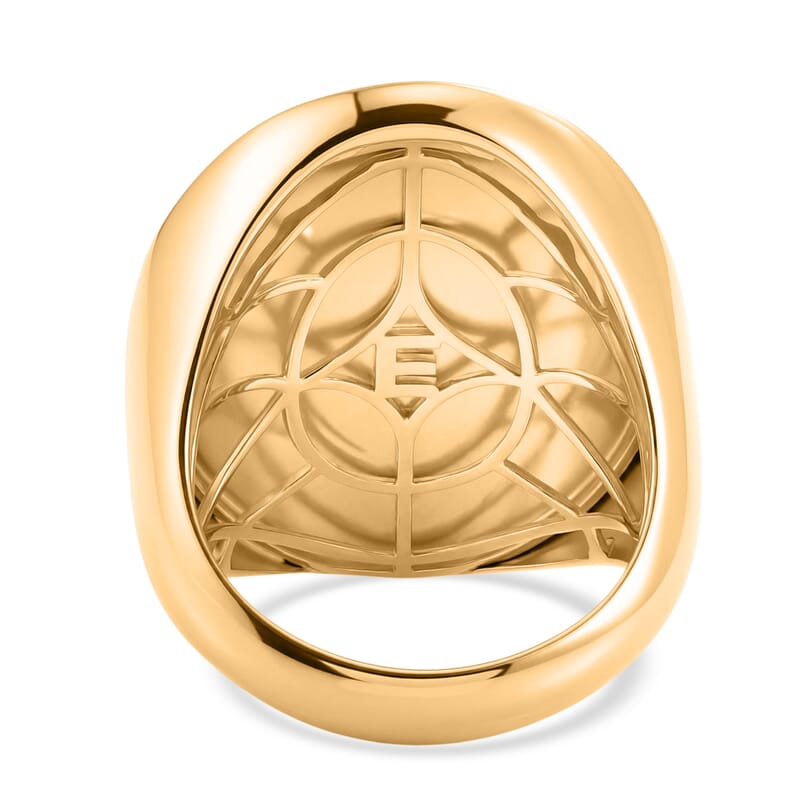 EverTrue Bronzella Collection Dragon Guardian Signet Men's Ring in 18K YG Plated Bronze (Size 9.0)