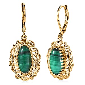 EverTrue African Malachite 6.30 ctw Earrings in 18K YG Plated